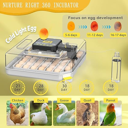 Incubators for Hatching Eggs 48 Egg Incubator - Image 4