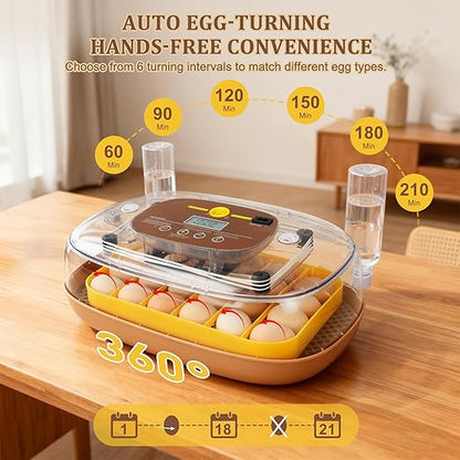 3rd Gen - 24 Egg Automatic Incubator, Stage-Based Adaptive Humidity - Image 2