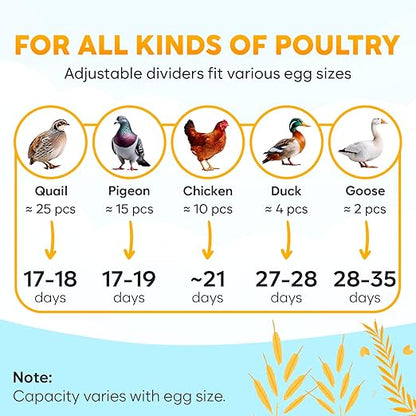 M12 Incubators for Hatching Eggs - Image 6