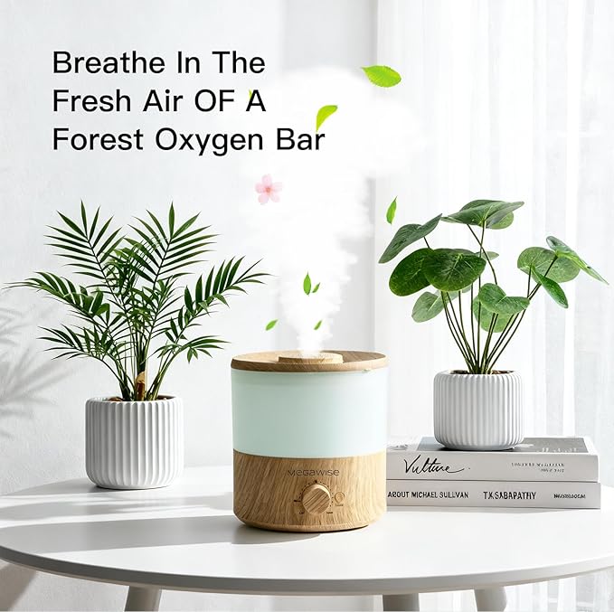 MEGAWISE 2025 Upgraded Ultrasonic Cool Mist Humidifier - Image 2