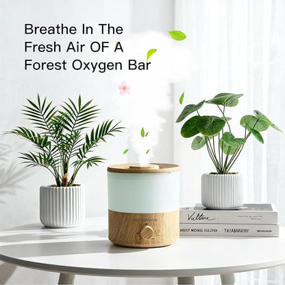 MEGAWISE 2025 Upgraded Ultrasonic Cool Mist Humidifier - Image 2