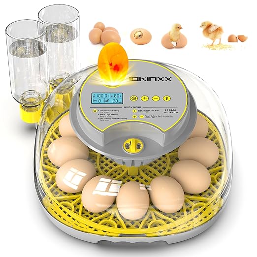 Incubator for Hatching Eggs-12 Egg Capacity, Automatic Egg Turner, Temperature by IBKINXX