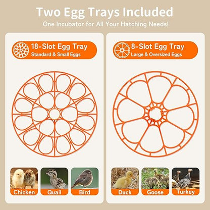 18 Egg Incubator, 2 Egg Trays, Automatic Egg Turning - Image 3