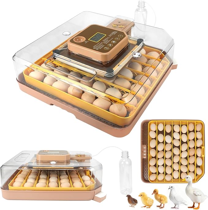 Master 48 Egg Incubator for Breeders, Fully Automated, Accurate Humidity & Temp by Unknown