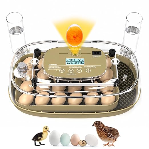 24 Incubators for Hatching Eggs, Egg Incubator by Unknown