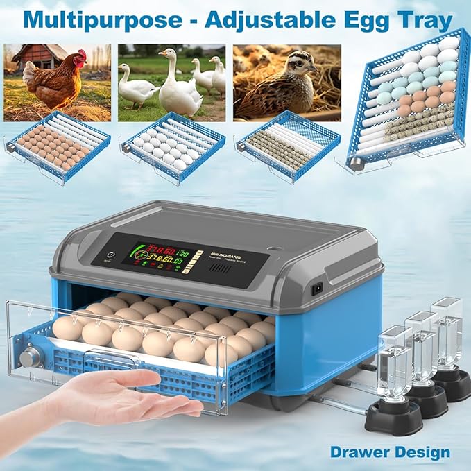 Egg Incubator for Hatching Eggs - Image 3