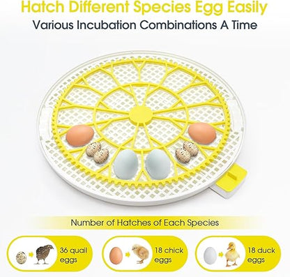 Sailnovo 18 Egg Incubator for Hatching Eggs - Image 7