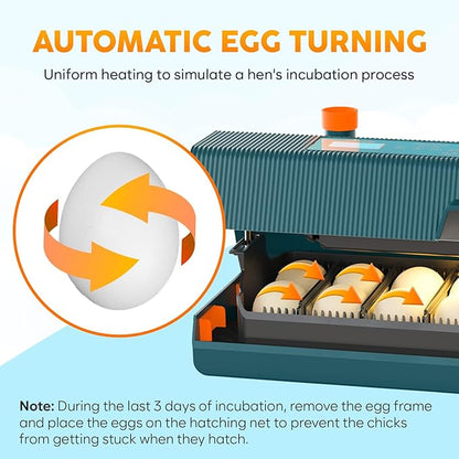 Incubator for Hatching Eggs - Image 5