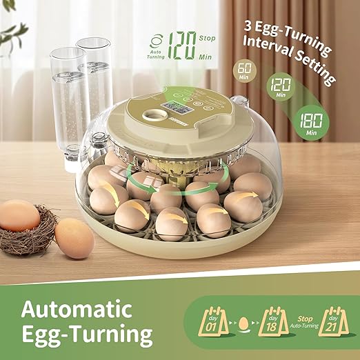 Large Capacity Egg Incubator for Hatching Eggs - Image 5