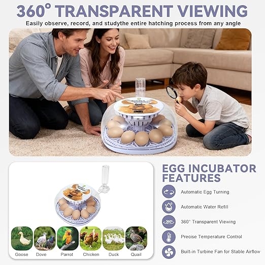 1st Gen - 12 Egg Automatic Incubator, Steady Humidity - Image 3