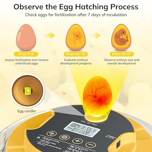 18 Egg Incubator with Automatic Egg Turning and Humidity Control, Chicken - Image 5