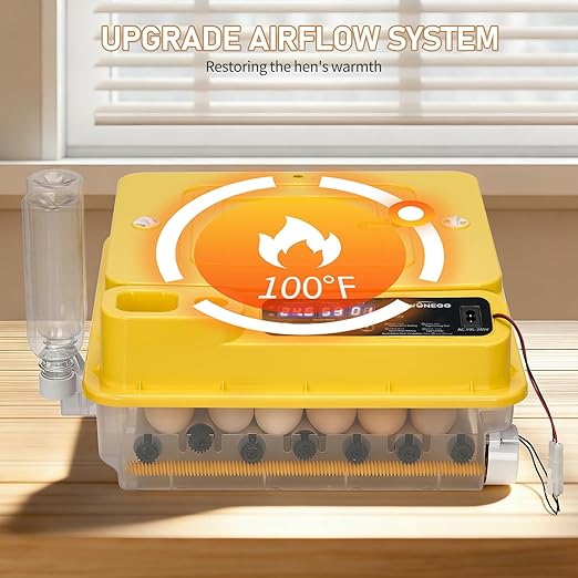 Winado Incubators for Hatching Eggs, 30 Egg Incubator - Image 3