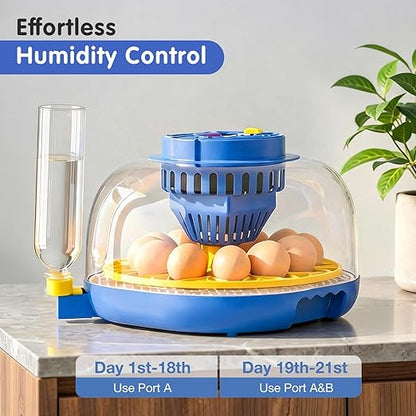 Chicken Egg Incubators for Hatching Eggs, 12 Egg Incubator - Image 3