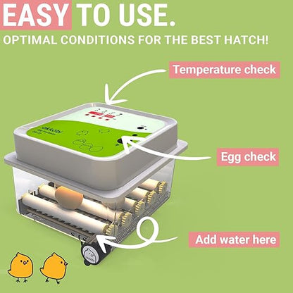 Incubators for Hatching Eggs - Image 2