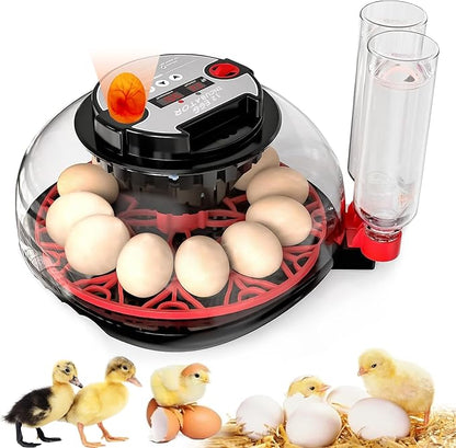 Incubator with Automatic Egg Turning and Humidity Control, Incubators by MYMULIKEHOME