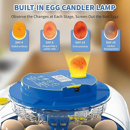 18 Egg Incubator with Automatic Egg Turning & Humidity Control - Image 2