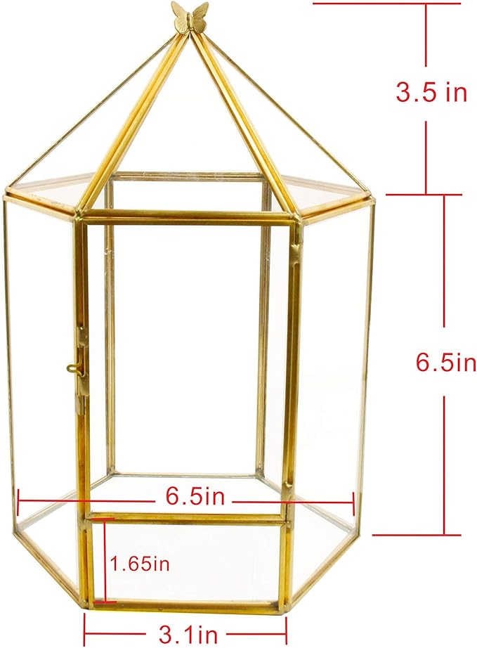ELEGANTLIFE Glass Geometric Plant Terrarium, Succulent & Air Planter - Image 4