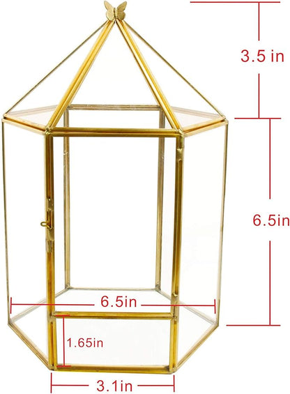 ELEGANTLIFE Glass Geometric Plant Terrarium, Succulent & Air Planter - Image 4