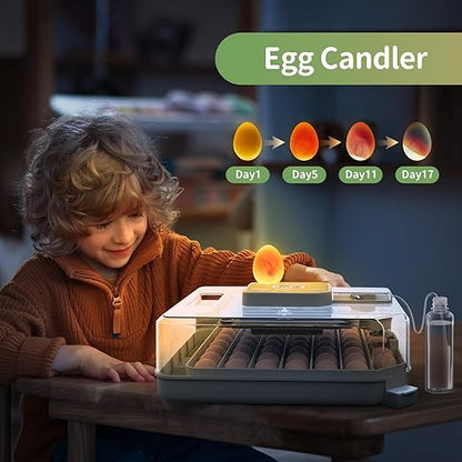 Egg Incubators for Hatching Eggs, Egg Incubator - Image 5