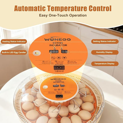 Smart Lite 30-Egg Incubator for Experienced Hands-On Hatchers, Auto Egg Turn - Image 2