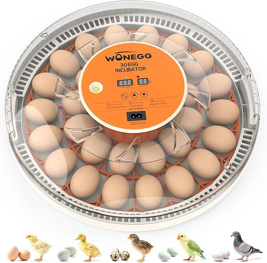30 Egg Incubators for Hatching Eggs by WONEGG