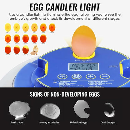 Incubators for Hatching Eggs, 18 Egg Incubator - Image 4