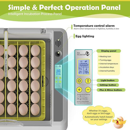 Egg Incubator for Hatching Chicks, 36 Eggs Automatic Turner - Image 3