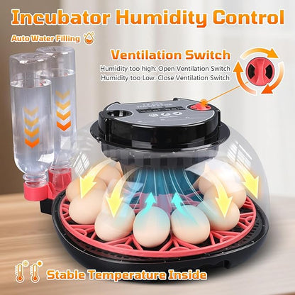 12-Egg Incubator, Automatic Egg Turning Function, Humidity Control, External - Image 5