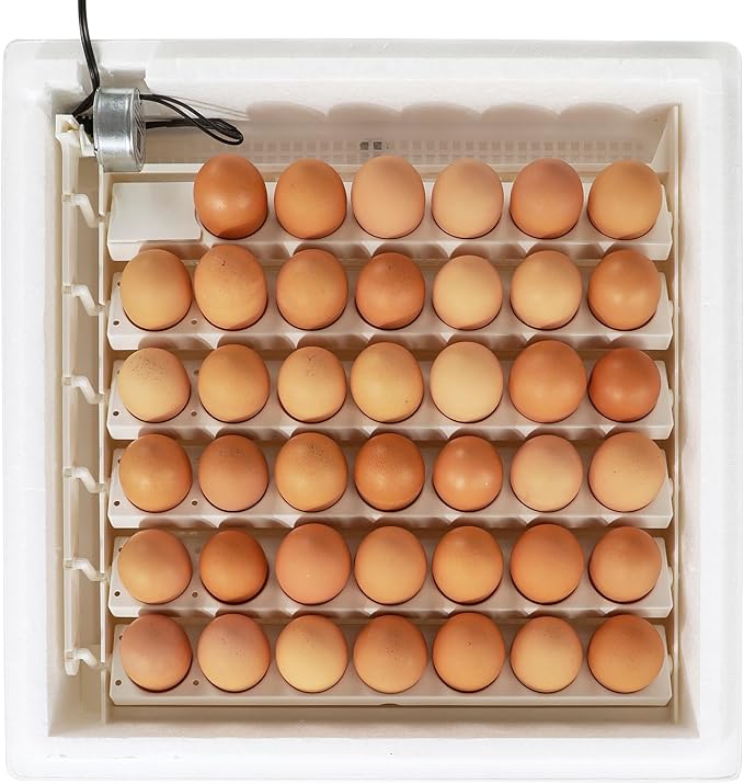 Farm Innovators 41 Egg Digital Circulated Air Incubator w/Auto Turning & - Image 6
