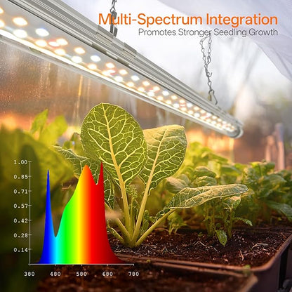 Bstrip Indoor Greenhouse with Grow Light, Mini EVA Tent with PE Base Mat - Image 5