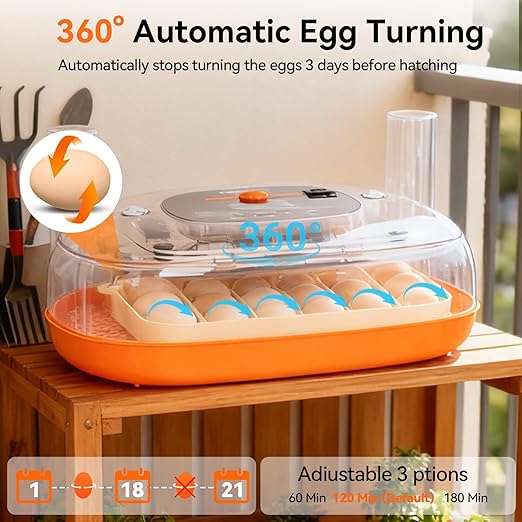 Incubators for Hatching Eggs, 24 Egg Incubator, Automatic Egg Turner - Image 2
