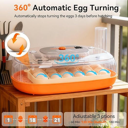 Incubators for Hatching Eggs, 24 Egg Incubator, Automatic Egg Turner - Image 2