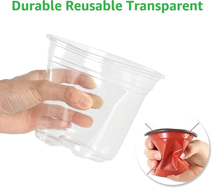 36 Packs 5/4/3.5 Inch Clear Nursery Pots - Image 4