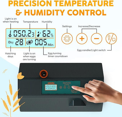 Incubator for Hatching Eggs - Image 2