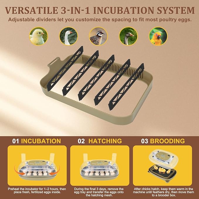 Smart 24-Egg Incubator for Hobbyists, Full-Stage Adaptive Humidity & Temp - Image 7