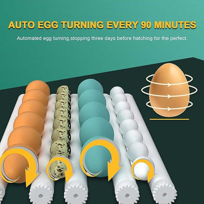 Choies 16 Egg Incubator, Incubators - Image 4