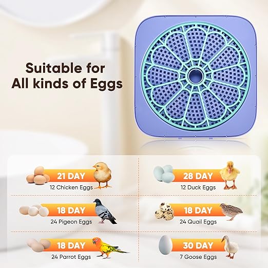 Incubators for Hatching Eggs, Smart Egg Incubator - Image 3
