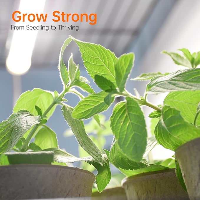 Bstrip Indoor Greenhouse with Grow Light, Mini Green House with 4 Pack 20W Full - Image 6