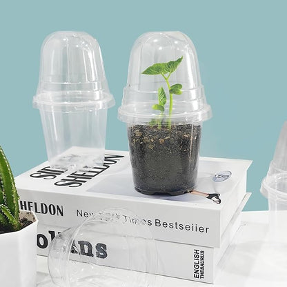 Transparent Nursery Pots 3.5Inch - Image 7