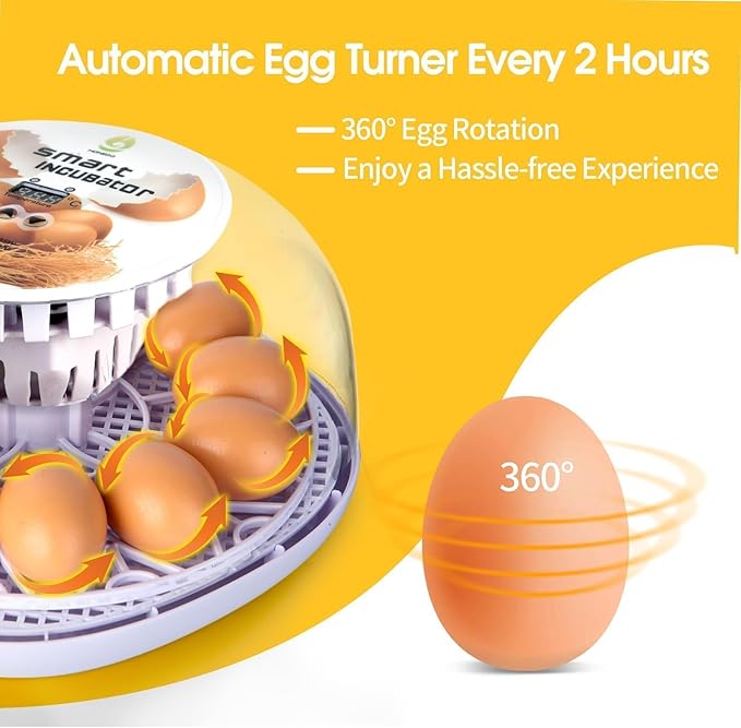 Explore 12 Egg Automatic Incubator - Image 2