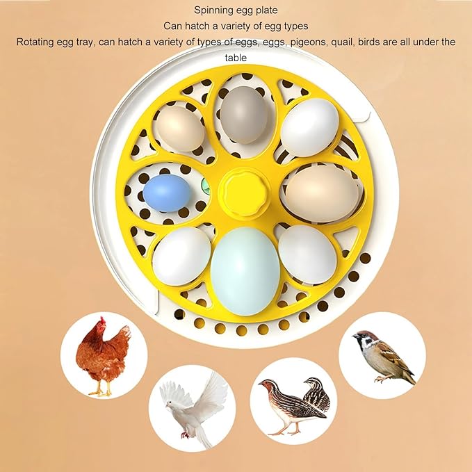 Hapivida 4 Eggs Mini Automatic Incubator, 7W Temperature Humidity Control - Image 3