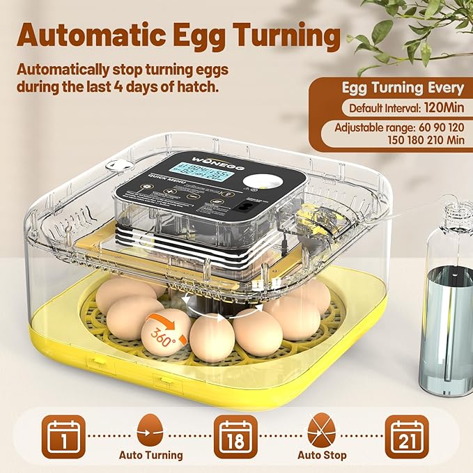 Incubator for Hatching Eggs, 12 Eggs Incubator - Image 2