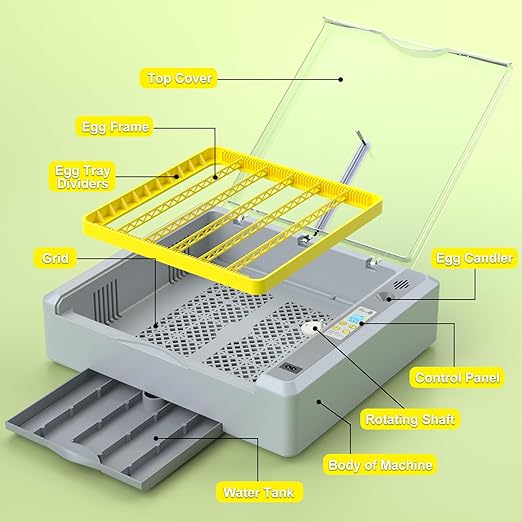 36 Eggs Incubator for Hatching Chicken/Goose/Quail/Duck/Turkey Eggs, 360° View - Image 9
