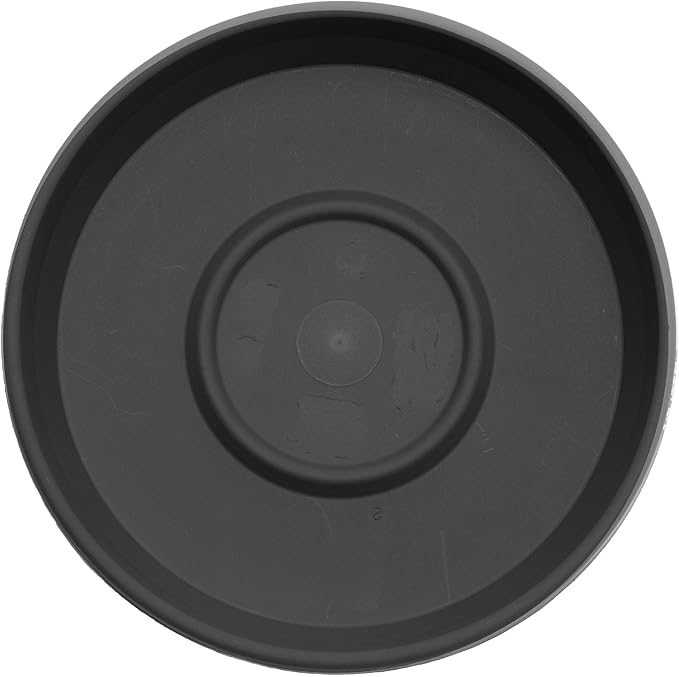 Bloem Terra Resin Saucer Tray: 4.75" Bottom Width - Image 4