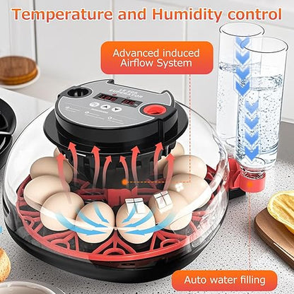12 Egg Incubators for Hatching Eggs Automatic Egg Incubator - Image 2