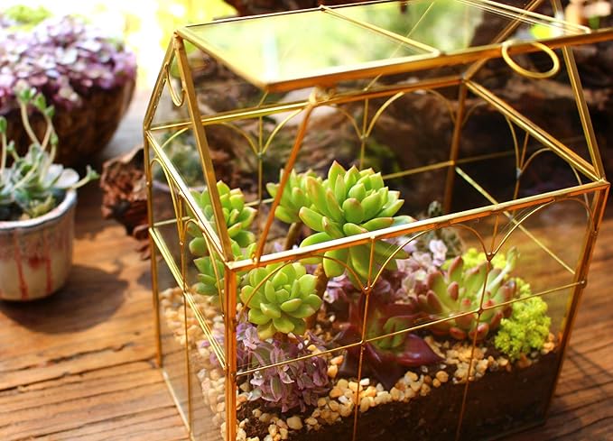 Glass Geometric Plant Terrarium, Succulent & Air Planter - Image 7