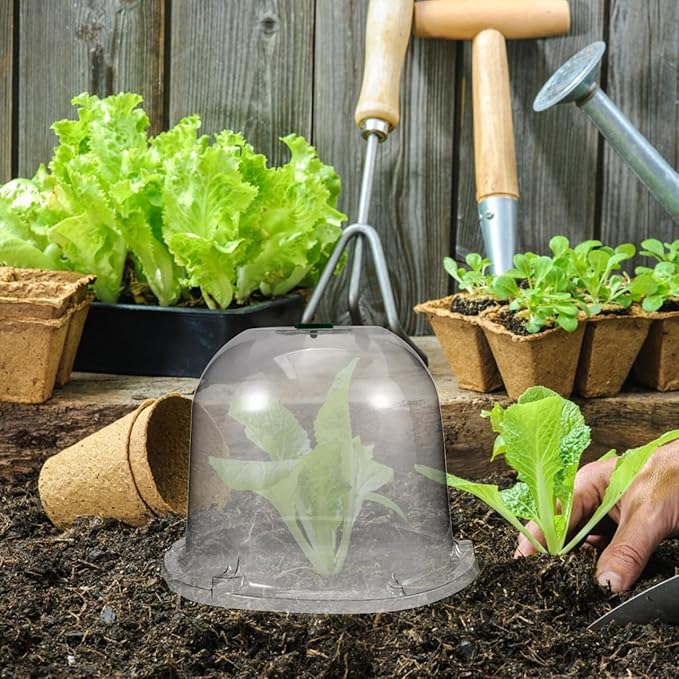 Mikikit Garden Cloche Dome Seedling Cover Plant Humidity Dome Nursery Protector - Image 2