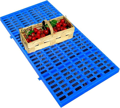 Lightweight Plastic Pallet by Unknown