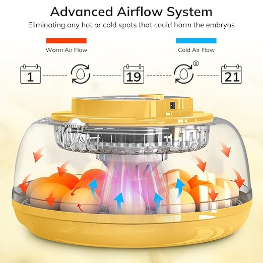 18 Egg Incubator with Automatic Egg Turning and Humidity Control, Chicken - Image 4