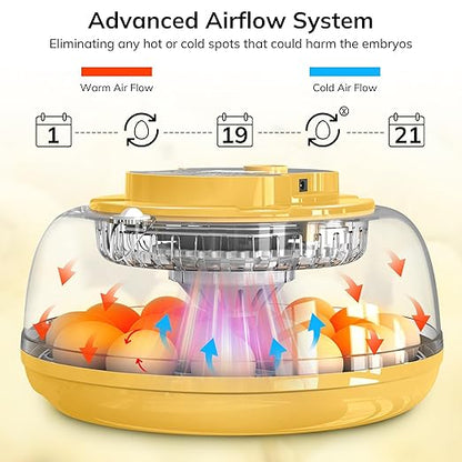 18 Egg Incubator with Automatic Egg Turning and Humidity Control, Chicken - Image 4